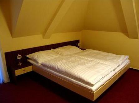 Hotel Altenberg Старе Гори Номер фото