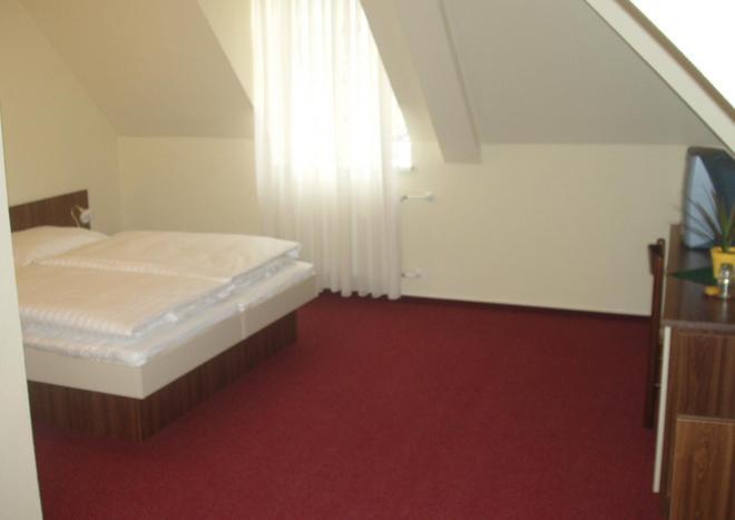 Hotel Altenberg Старе Гори Номер фото